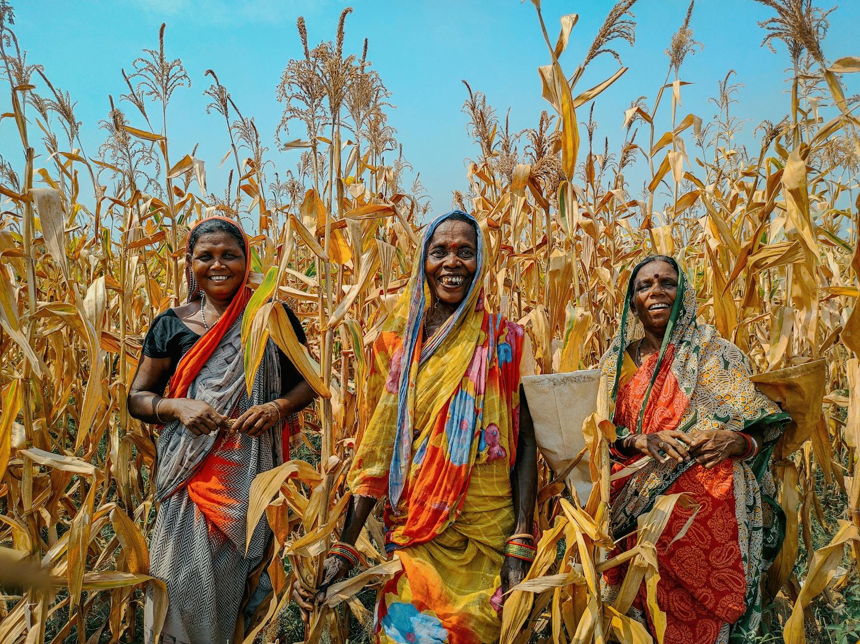 प्रचार