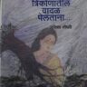 कादंबरी त्रिकोणातील वादळ पेलतांना
